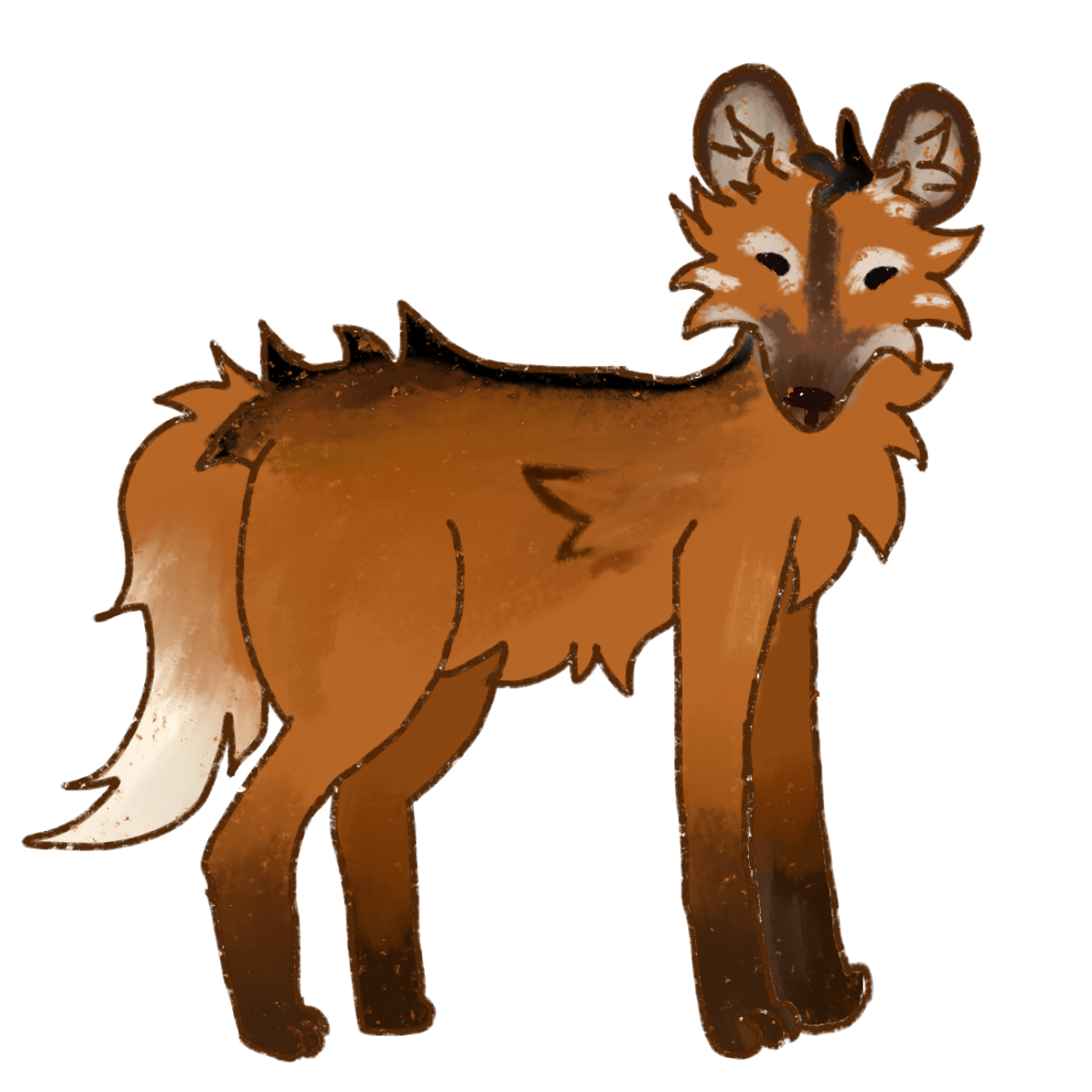 A simple digital illustration of a maned wolf. The maned wolf has a slender, tall build with reddish-brown fur covering most of its body. Its neck and shoulders feature a darker brown mane-like patch of fur, characteristic of the species.